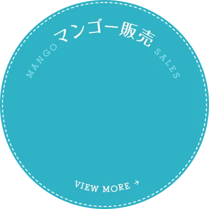 マンゴー販売はこちら