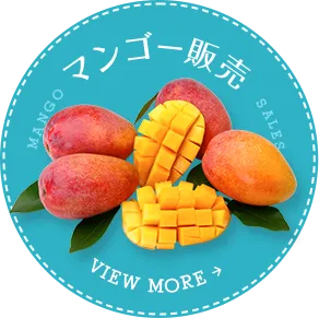 マンゴー販売はこちら