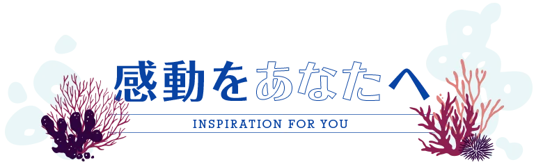 感動をあなたへ