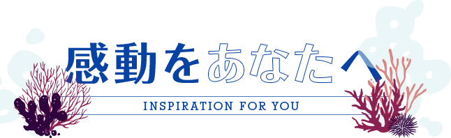 感動をあなたへ